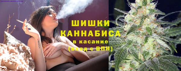 дурь Осташков
