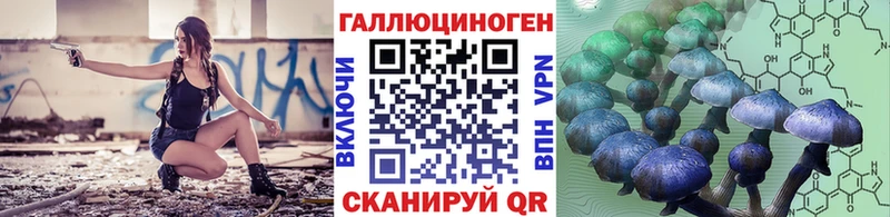 купить наркотик  Лобня  Псилоцибиновые грибы Psilocybe 